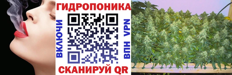 Бошки марихуана White Widow  KRAKEN зеркало  Лениногорск 