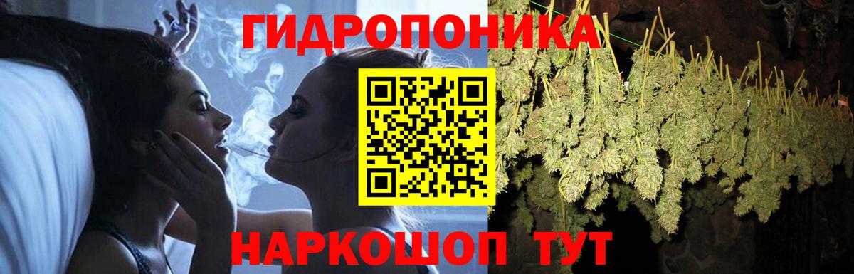 Шишки марихуана марихуана  МАРИХУАНА конопля  Вход с VPN  Лениногорск 